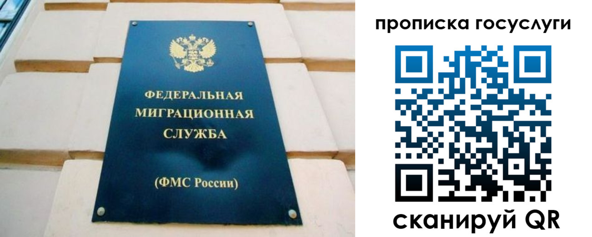 прописка поиск в Калининграде